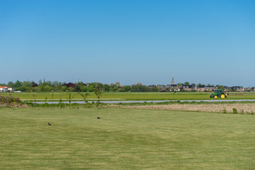 Fototapeta premium Netherlands,Lisse, SCENIC VIEW OF FIELD AGAINST CLEAR SKY