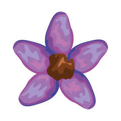 beautiful flower decorative icon