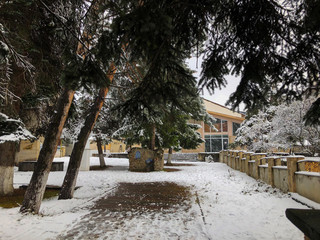 Snow covered trees in the snowfall. Winter noon in mountain ski resort Bakuriani