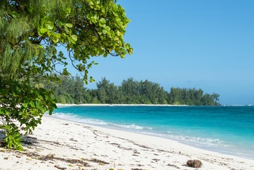 A tropical beach with white sand, tropical vegetation, and clear water. Photo taken on Denis Island in the Seychelles.