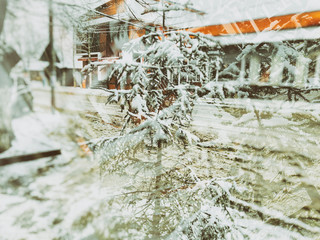 Little spruce in the snow on a city street. Winter noon. Snowy street. Mountain ski resort Bakuriani
