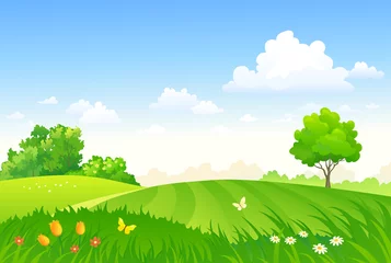 Poster Vector cartoon drawing of a spring pasture, green field landscape © Merggy