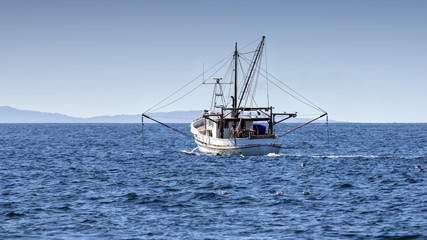Fototapeta na wymiar Fishing Trawler at Sea, Port Stephens, NSW, Australia