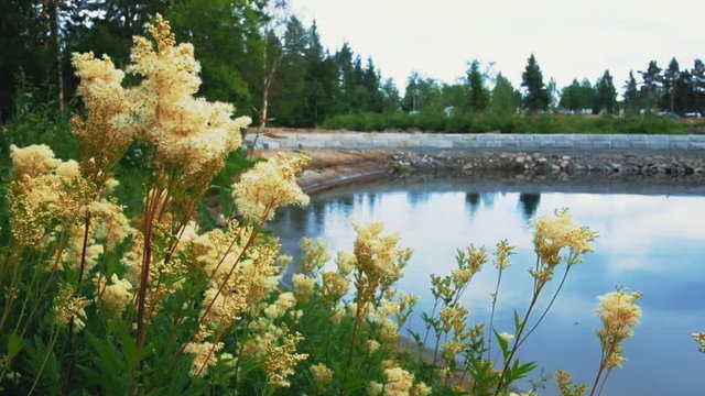 beautiful norwegian landscapes