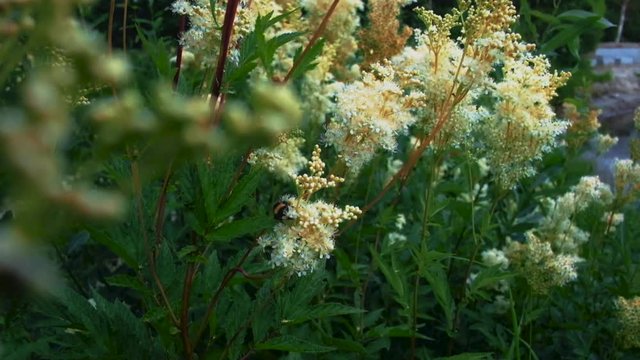 beautiful norwegian landscapes