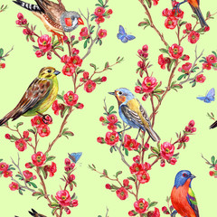 Seamless pattern of birds and quince blossoms on a light green background, spring print for fabric, background for different designs.