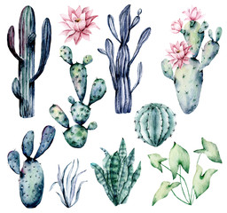 Watercolor blooming pink cactus and green, blue cacti set, hand drawn flowers illustration. Perfect for design stickers, icons,  greeting card, blog, banner. Isolated on white.  Cacti collection. © Larisa