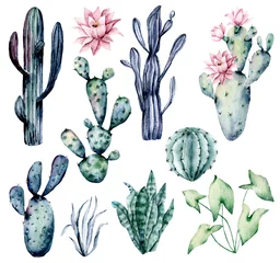 Foto op Canvas Watercolor blooming pink cactus and green, blue cacti set, hand drawn flowers illustration. Perfect for design stickers, icons,  greeting card, blog, banner. Isolated on white.  Cacti collection. © Larisa