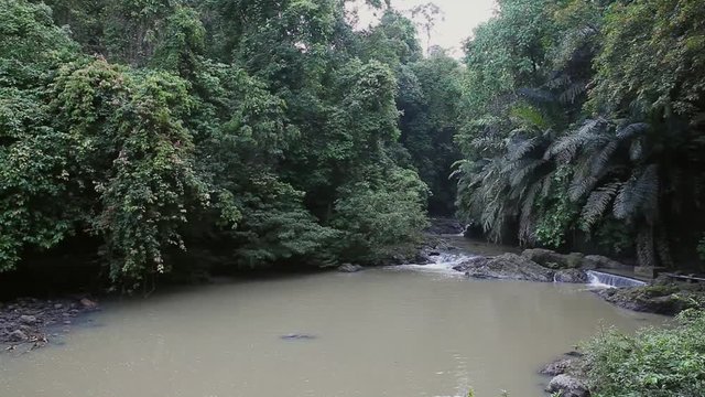 Small river in the Rainforest, Tabin Wildlife Reserve