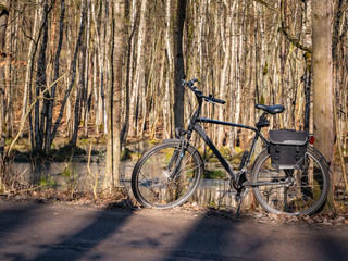 Fototapeta premium Bicycle on the trail in the forest, autumn season.