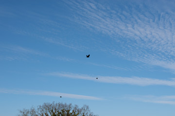 Blauer Himmel Wellenwollken