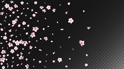 Nice Sakura Blossom Isolated Vector. Feminine Blowing 3d Petals Wedding Texture. Japanese Funky Flowers Illustration. Valentine, Mother's Day Feminine Nice Sakura Blossom Isolated on Black