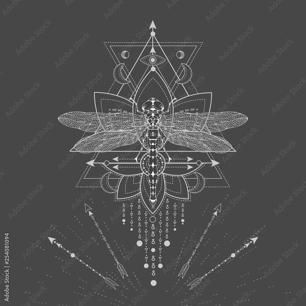 Wall mural vector illustration with hand drawn dragonfly and sacred symbol lotus on black background. abstract 