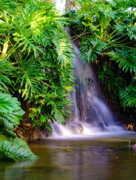 A beautiful waterfall © Milton Buzon