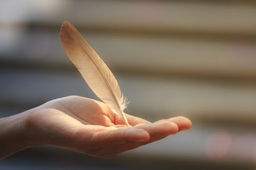The image of a hand on natural background blur.
