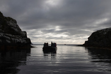 Zodiac in the Sub Antarctic