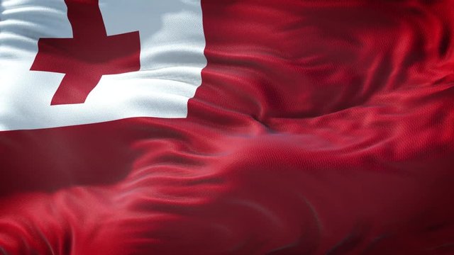 Flag of Tonga Loop