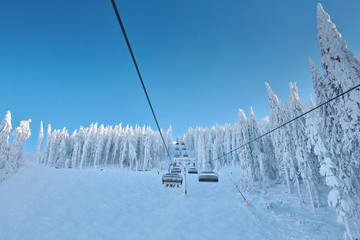 Chair lift in Poiana Brasov ski resort, Skiers and snowboarders enjoy the ski slopes in Poiana Brasov winter resort whit forest covered in snow on winter season