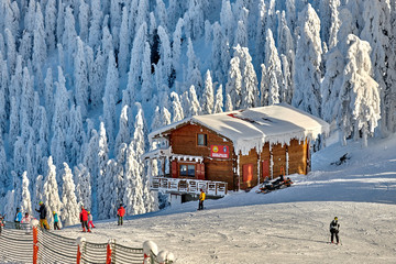 Naklejka premium Poiana Brasov, Romania -16 January 2019: Skiers and snowboarders enjoy the ski slopes whit forest covered in snow on winter season,Romania,Europe