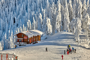Poiana Brasov, Romania -16 January 2019: Skiers and snowboarders enjoy the ski slopes whit forest...