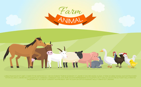 Farm domestic animals banner vector illustration. Collection of cute pet animal. Cartoon cow and horse, pig and goose, rabbit, hen, turkey, chick, goat, sheep on green lown.