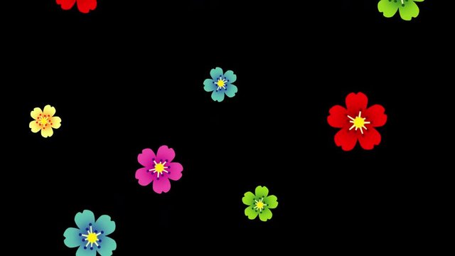 Animation cartoon flat style of of pink, green, blue, red, and yellow flowers of different sizes falling from above and disappearing on the bottom while rotating. Alpha channel included