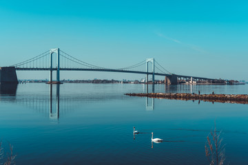 Fototapeta na wymiar Throgs Neck Bridge with two swans swimming in foreground