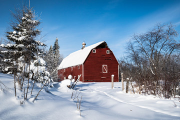 Winter Farm
