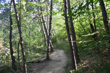 Sentier randonnée Monteynard-7