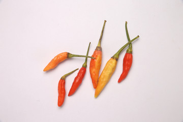 カレンペッパー