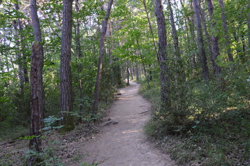 Sentier randonnée Monteynard-8