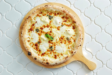 Mozzarella cheese pizza 