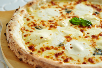 Mozzarella cheese pizza 