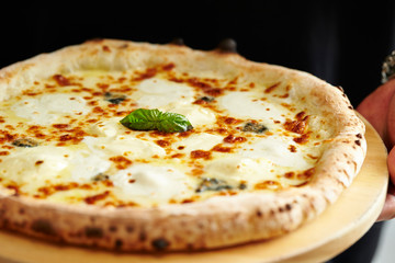 Mozzarella cheese pizza 
