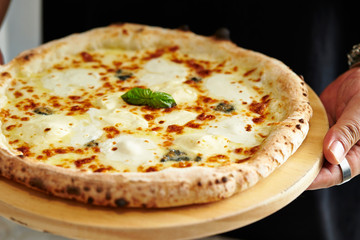 Mozzarella cheese pizza 