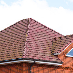 The house with a roof of classic tiles