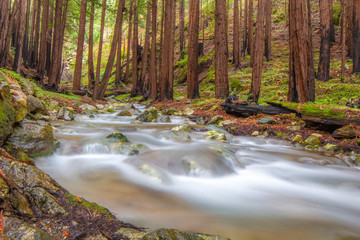 Lime Kiln State Park