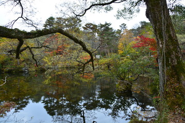福島県の五色沼の景観