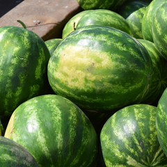 Water-melons on a counter