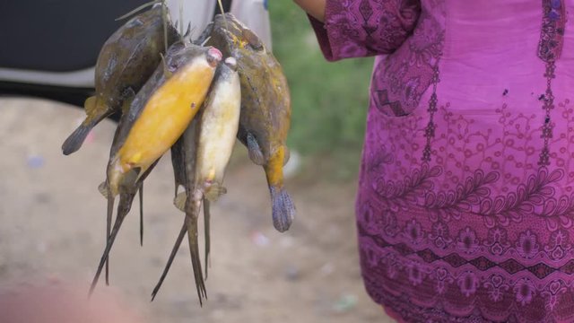 A woman in a purple top holds stringers of longhorn cowfish, Lactoria cornuta, also called the horned boxfish as she tries to sell them on the side of the road in the Philippines.