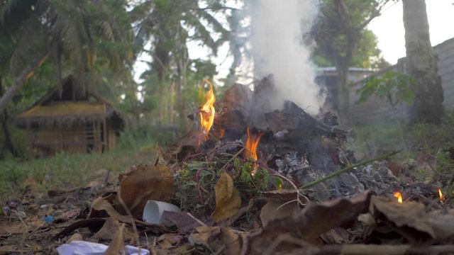 Low angle view of a smoldering pile of burning leaves and yard waste on a topical island. Bamboo hut with a thatched roof and palm trees in the background. SLIDE RIGHT.