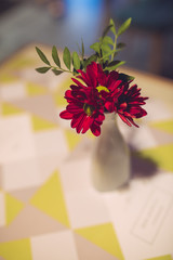 Flower arrangement in a vase. Can be used as background or for design.