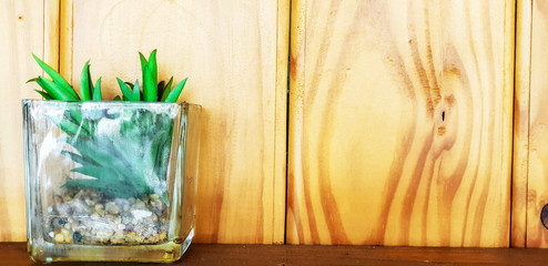 Decorate green plant in a glass flower pot on wooden table and wall background.