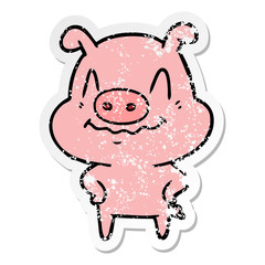 distressed sticker of a nervous cartoon pig