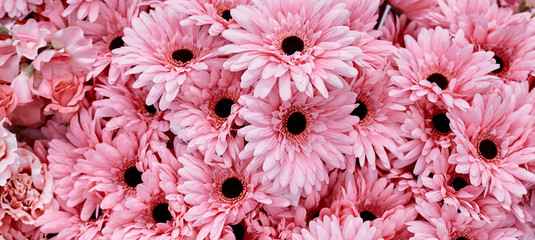 pink flowers use for background