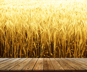 wood shelf for Barley product on Blur Brown Barley in field for Background