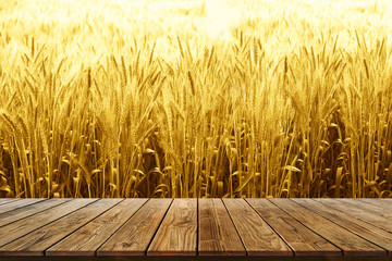 wood shelf for Barley product on Blur Brown Barley in field for Background