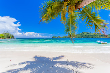 Naklejka na ściany i meble Plage des Seychelles 