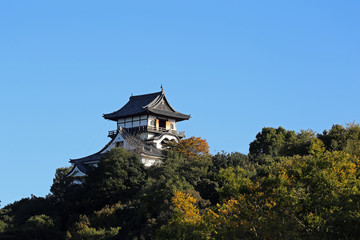 Fototapeta premium 晩秋の犬山城