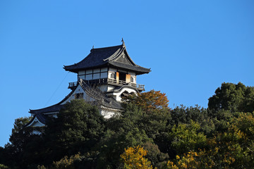 晩秋の犬山城